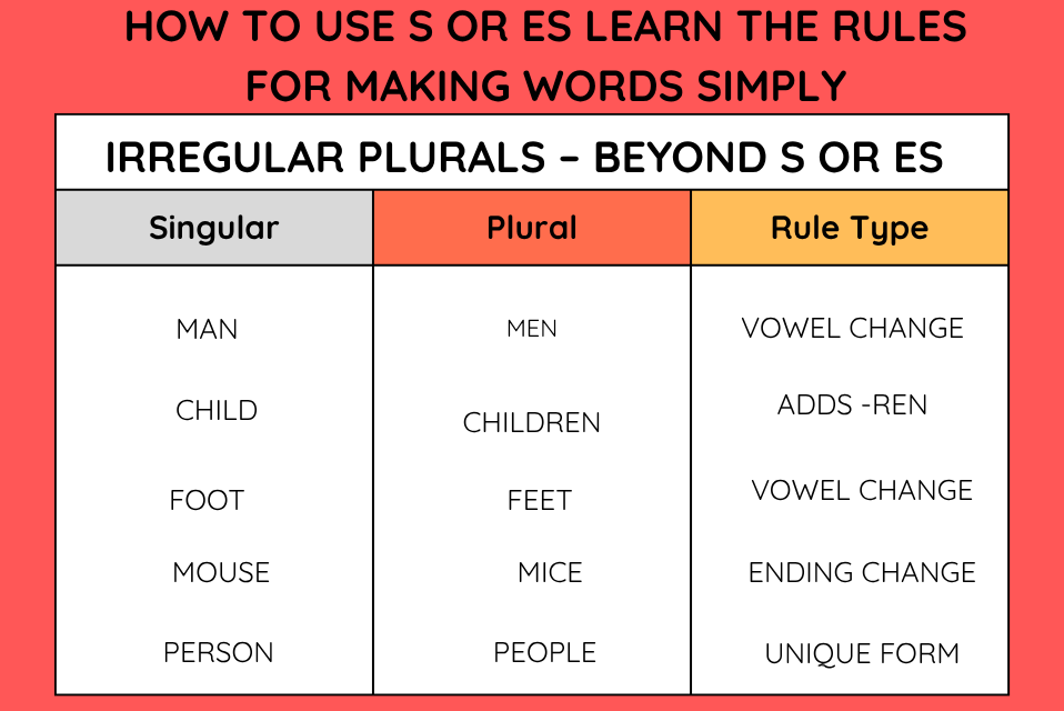 S or ES Learn the Rules for Making Words