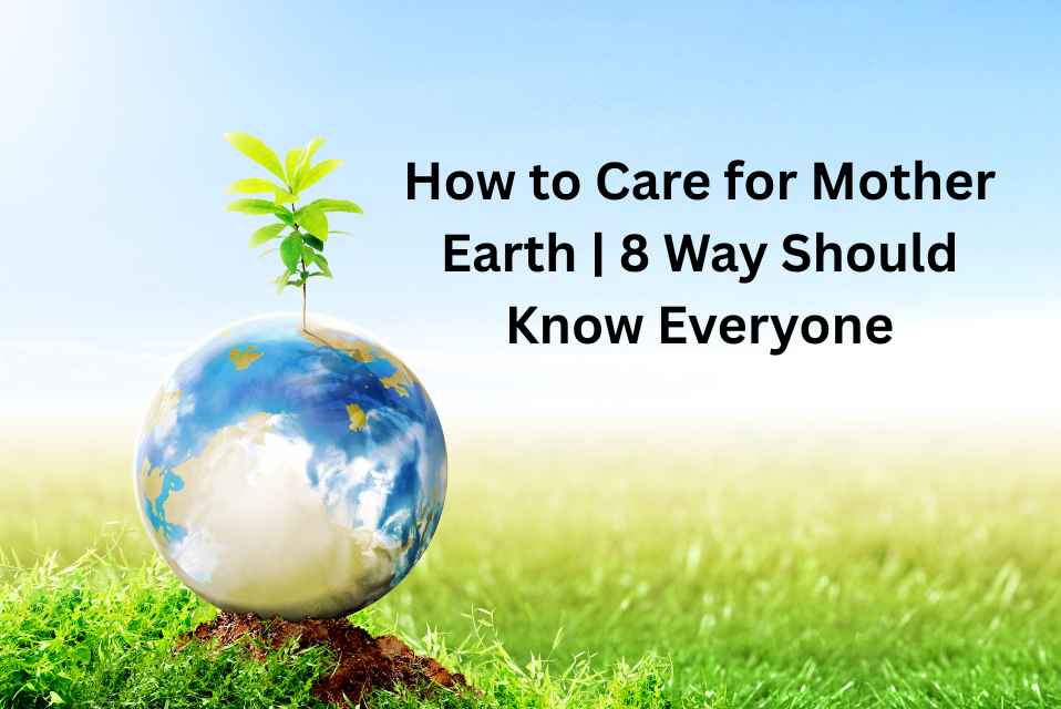 How to Care for Mother Earth 8 Way Should Know Everyone