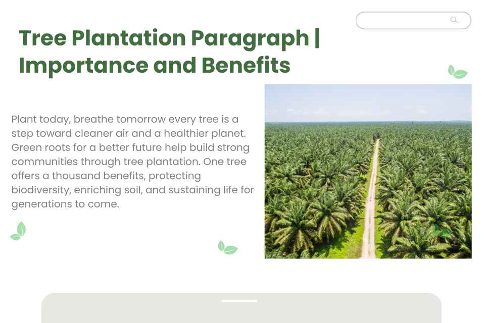 Tree Plantation Paragraph Importance and Benefits