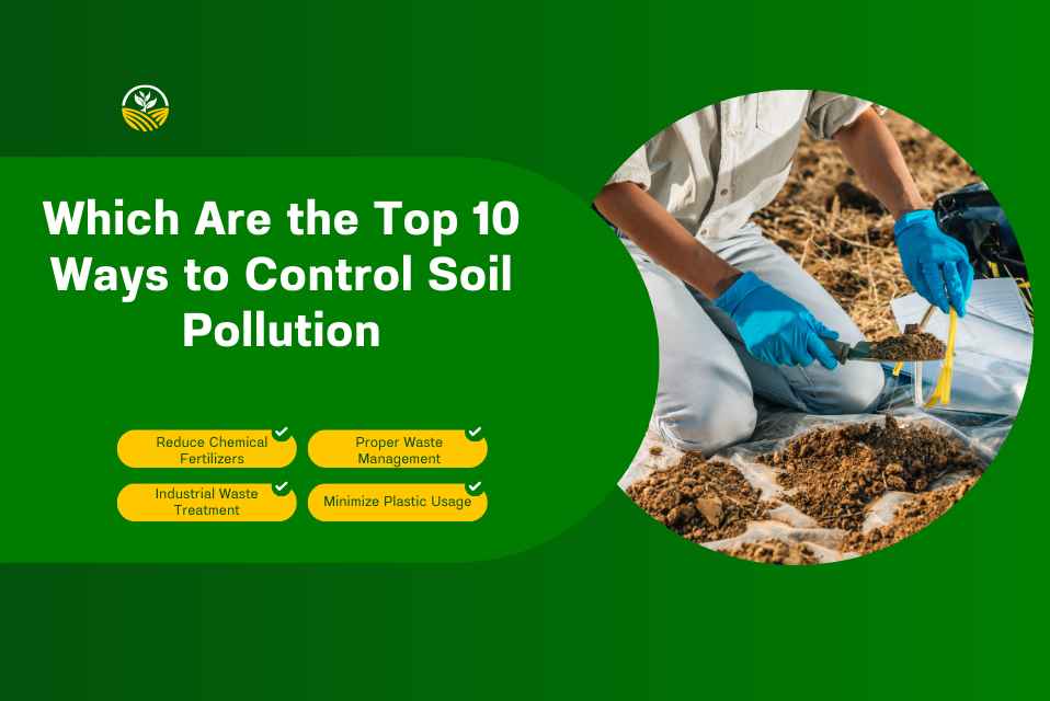 Which Are the Top 10 Ways to Control Soil Pollution