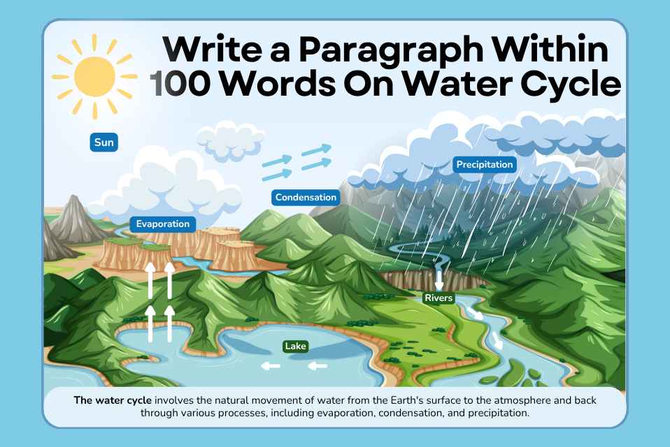 Write a Paragraph Within 100 Words On Water Cycle