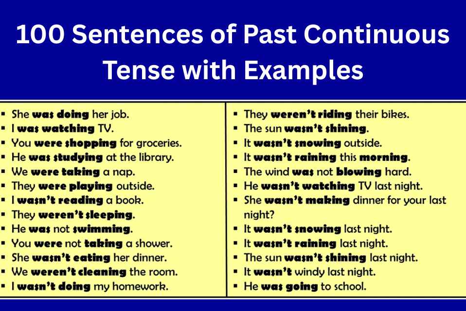 100 Sentences of Past Continuous Tense with Examples