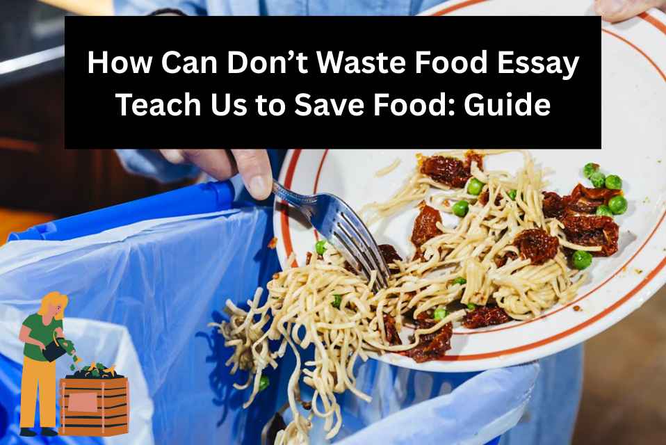 Don’t Waste Food Essay Importance, Tips, and Examples