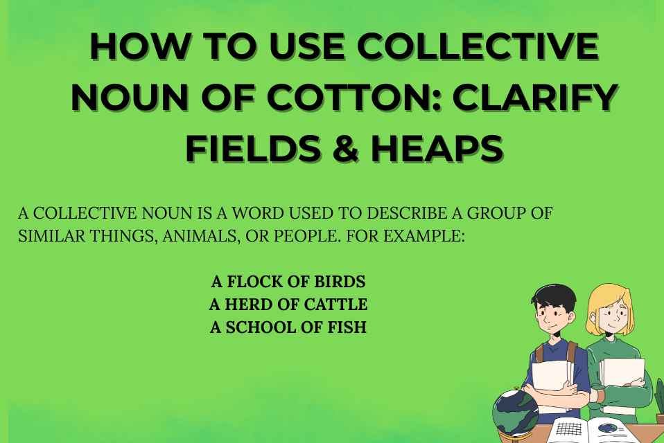 How to Use Collective Noun of Cotton Clarify Fields & Heaps