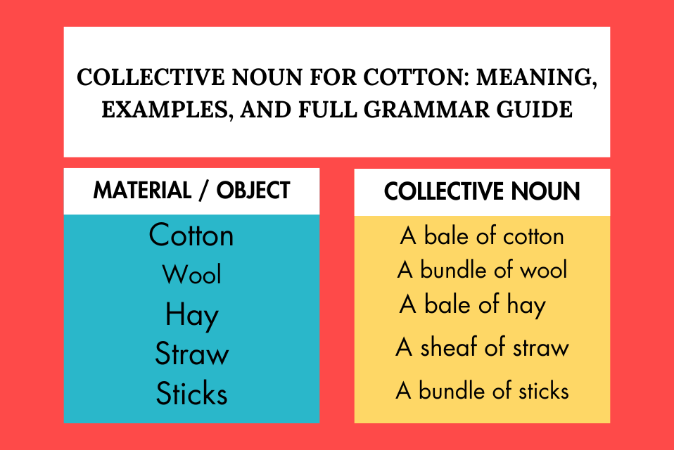 Collective Noun for Cotton Meaning, Examples, and Full Grammar Guide
