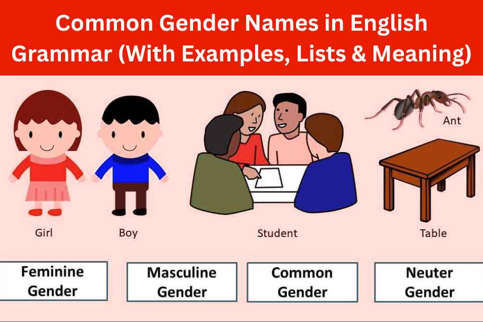 Common Gender Names in English Grammar