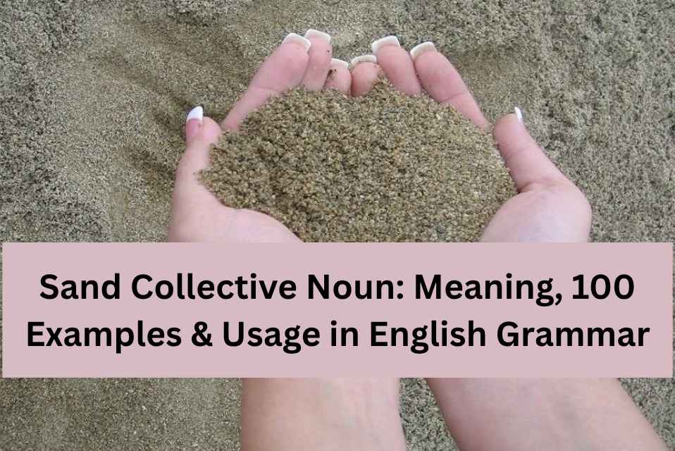 Sand Collective Noun Meaning, 100 Examples & Usage in English Grammar