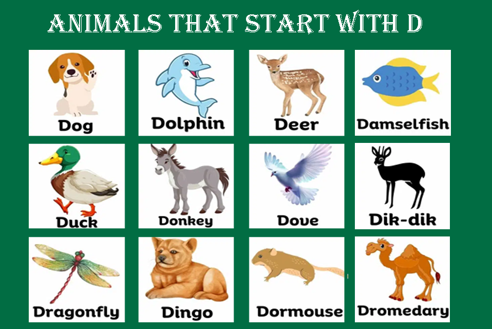 Animals that start with D